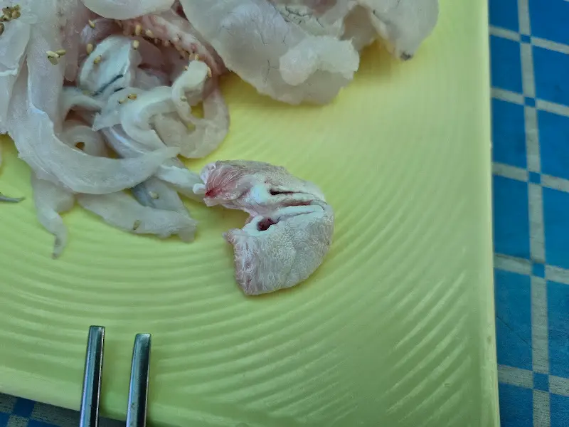 싱싱한 회 한 점