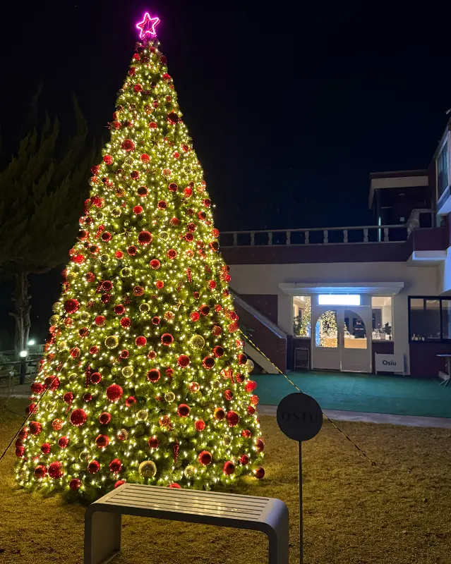 크리스마스 트리