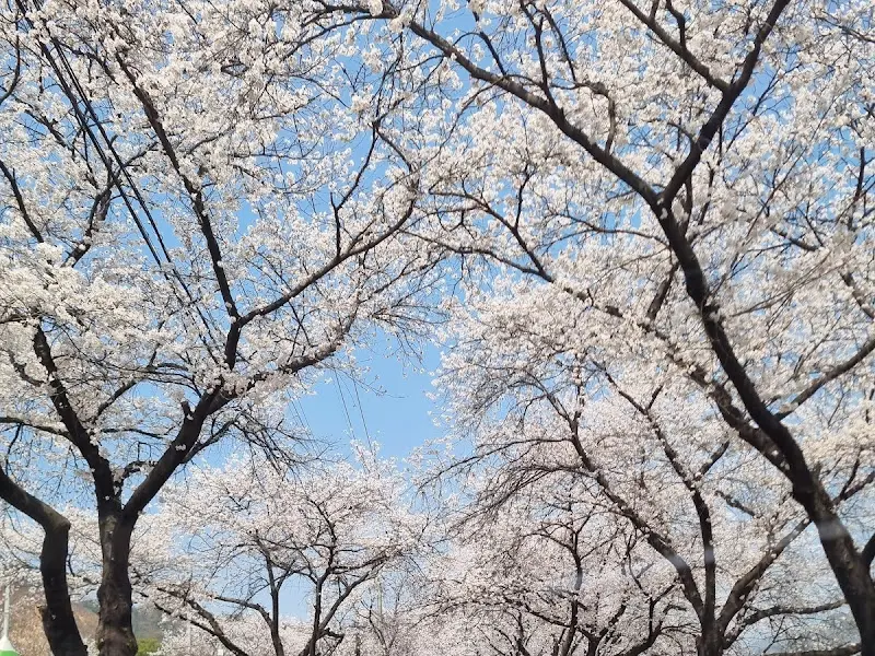 카페로 향하는 길