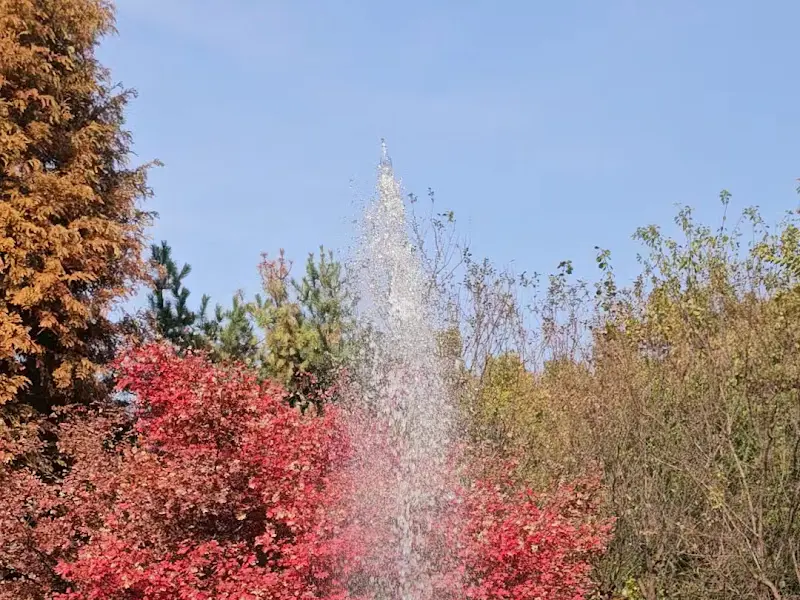 식당 정원의 분수