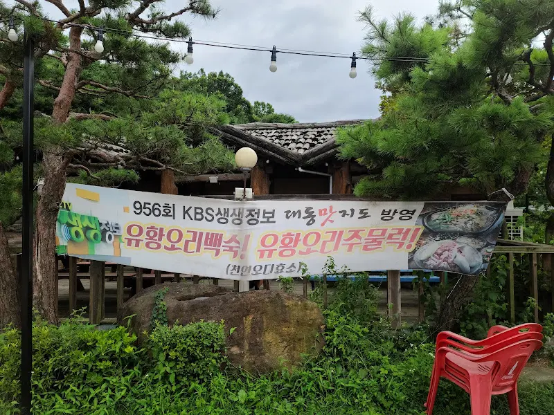 뽕나무골 안내 현수막