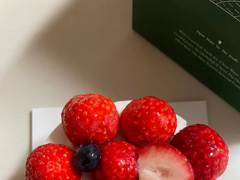 시즈니크 케이크가 담긴 포장 박스