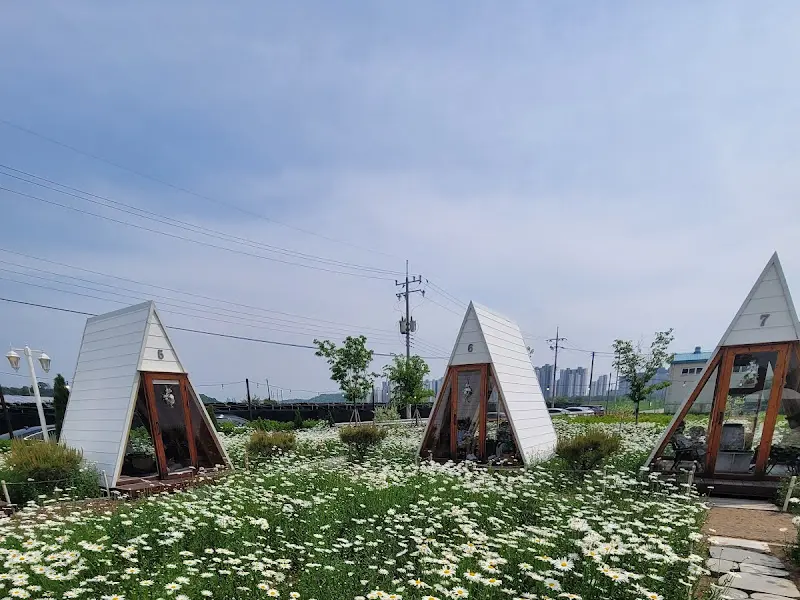데이지 꽃밭 속에 옹기종기 모여 있는 오두막들