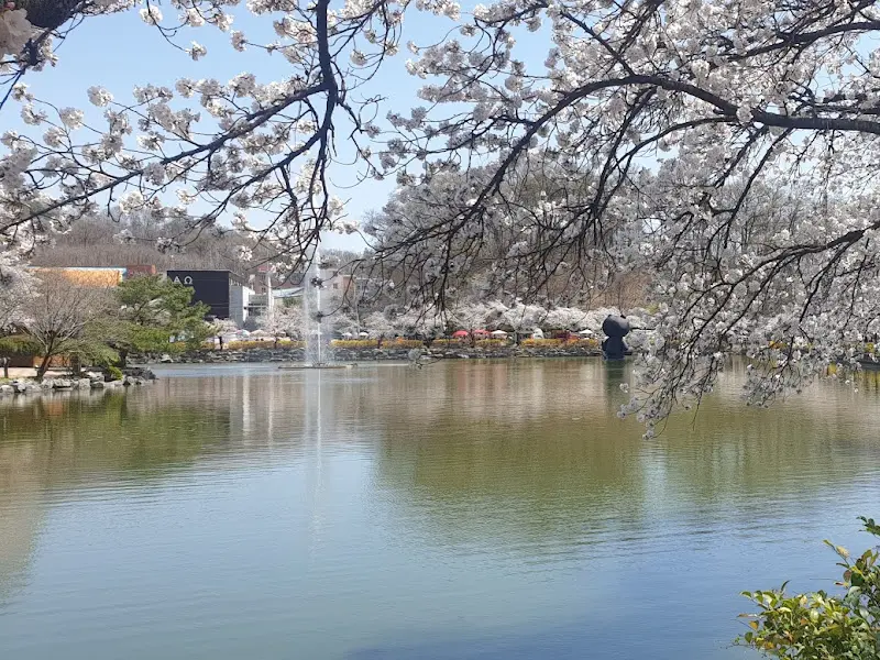 김천 연화지 풍경