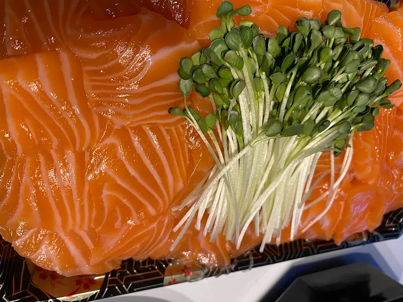 연어회 클로즈업