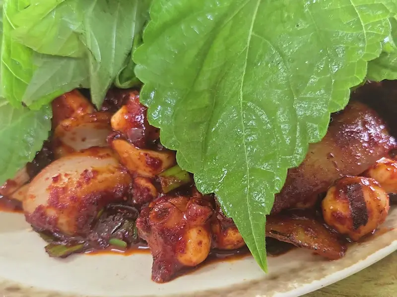 돌문어의 쫄깃한 식감