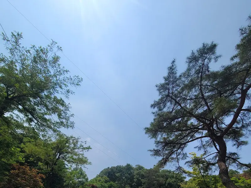 황금정원 주변 풍경