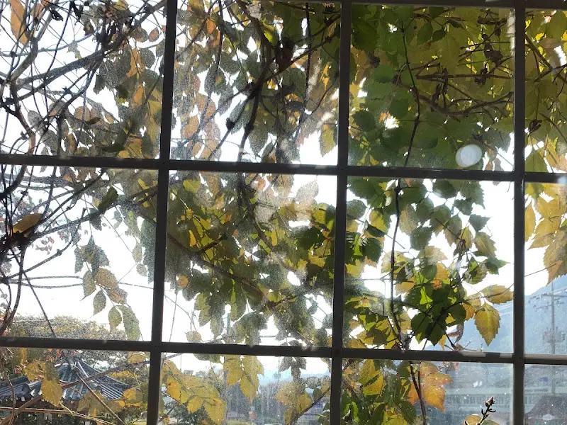 창밖으로 보이는 풍경