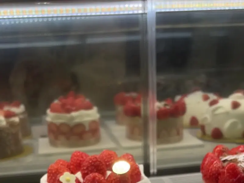 다양한 케이크가 진열된 쇼케이스