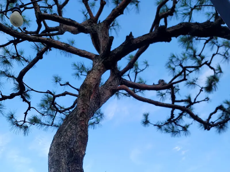 뽕나무골 주변 풍경