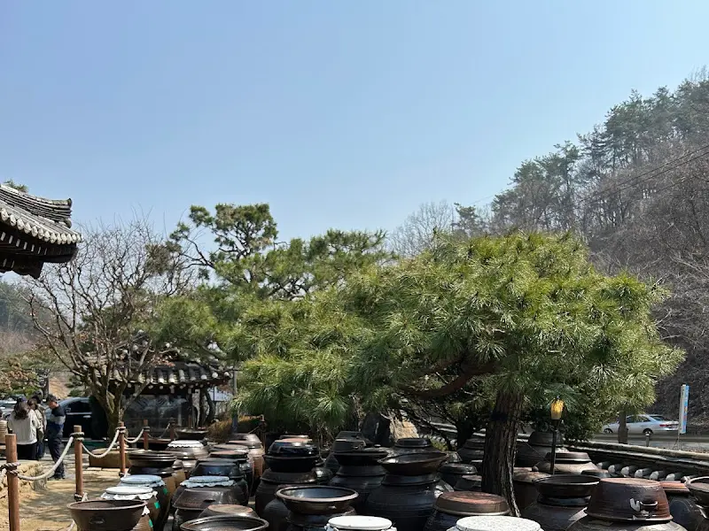 장독대가 옹기종기 모여 있는 정겨운 풍경