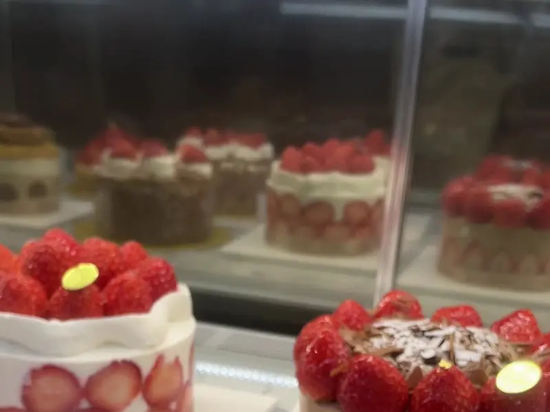 쇼케이스 안의 다양한 케이크