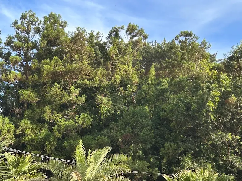 별돈별 주변의 풍경