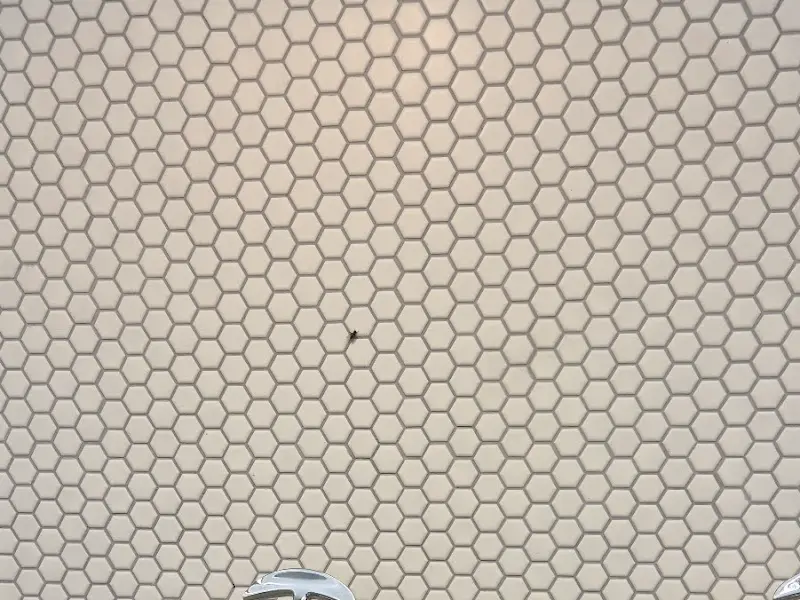 초원애 한식뷔페 음식 사진