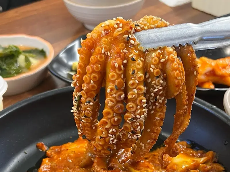 매콤한 양념이 듬뿍 묻은 쫄깃한 낙지