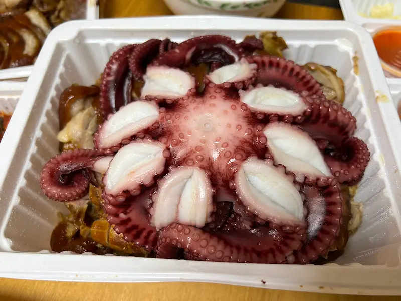 대왕꽃문어의 위엄