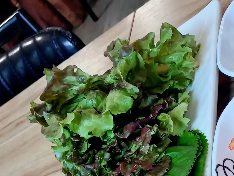 신선한 쌈 채소 클로즈업