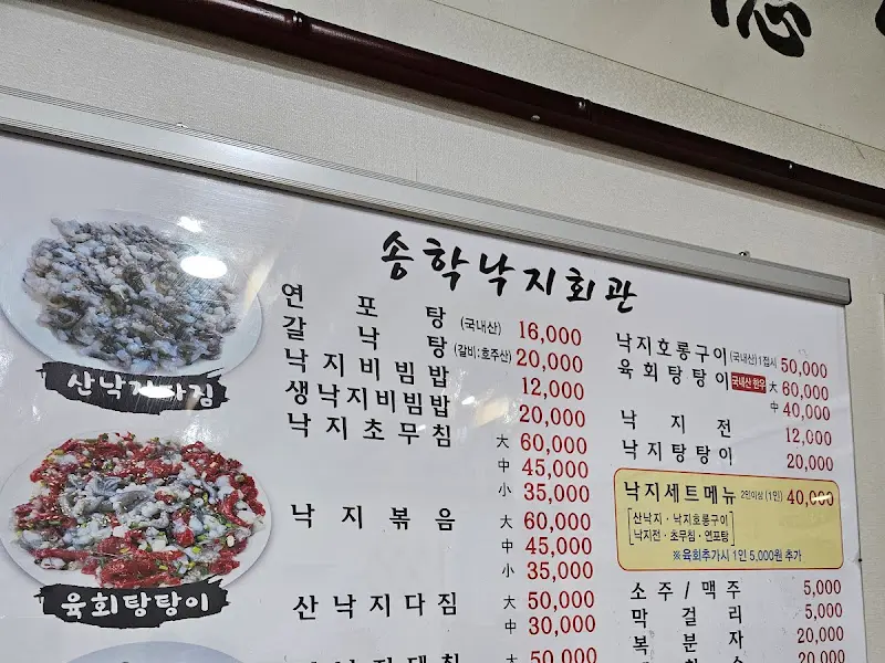 다양한 낙지 요리를 맛볼 수 있는 메뉴판