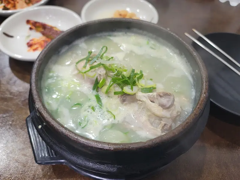살이 꽉 찬 닭
