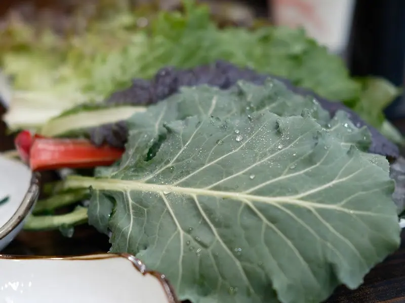 싱싱한 쌈 채소의 모습