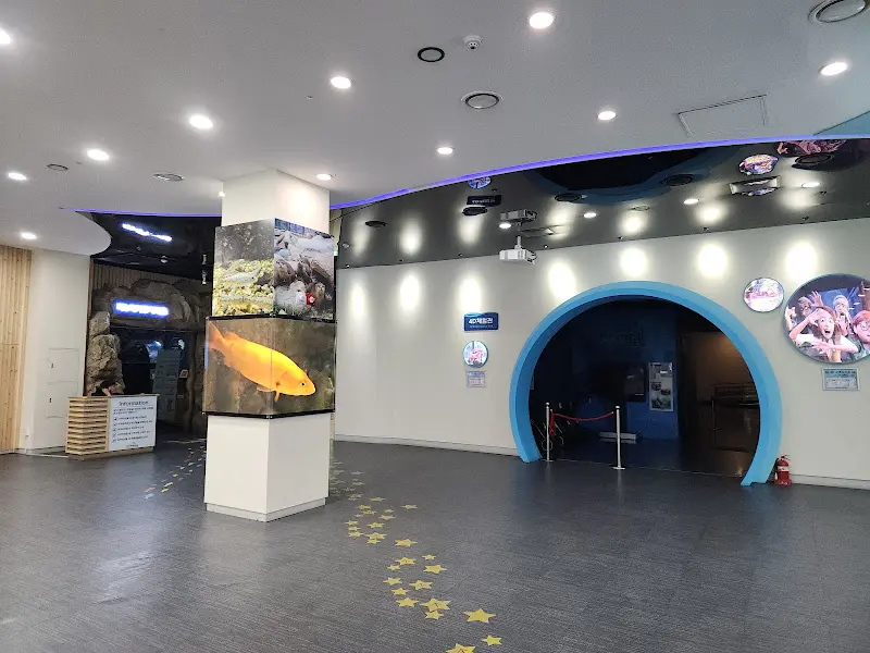 다누리아쿠아리움 내부