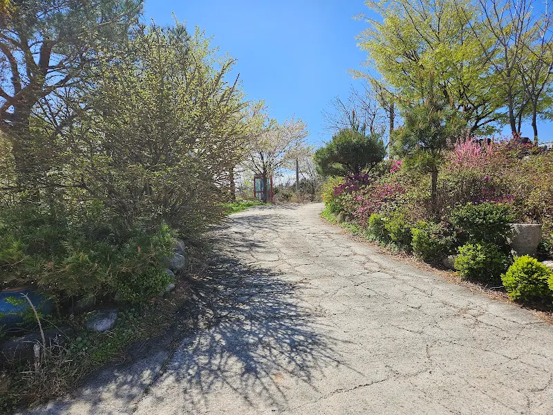 금화정 막국수 진입로