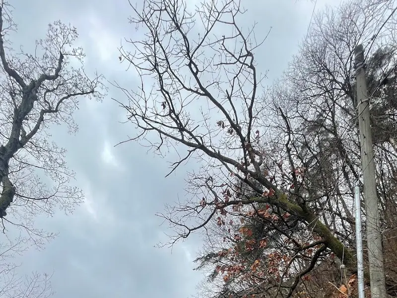 서울여관식당 주변 풍경