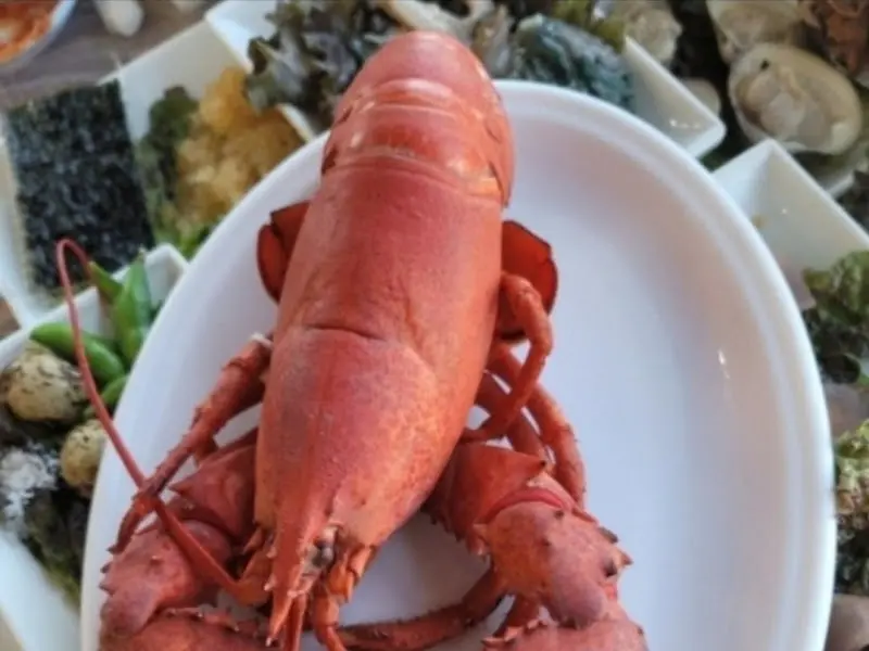 싱싱한 랍스터 한 상차림