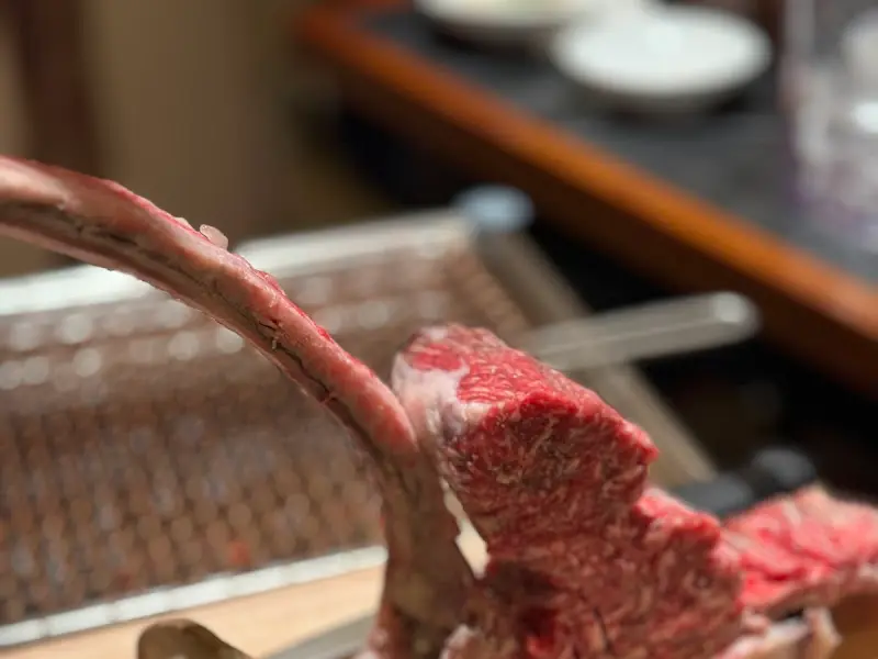 흑우 토마호크의 위엄