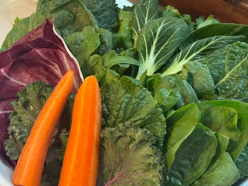 신선한 쌈 채소 모듬