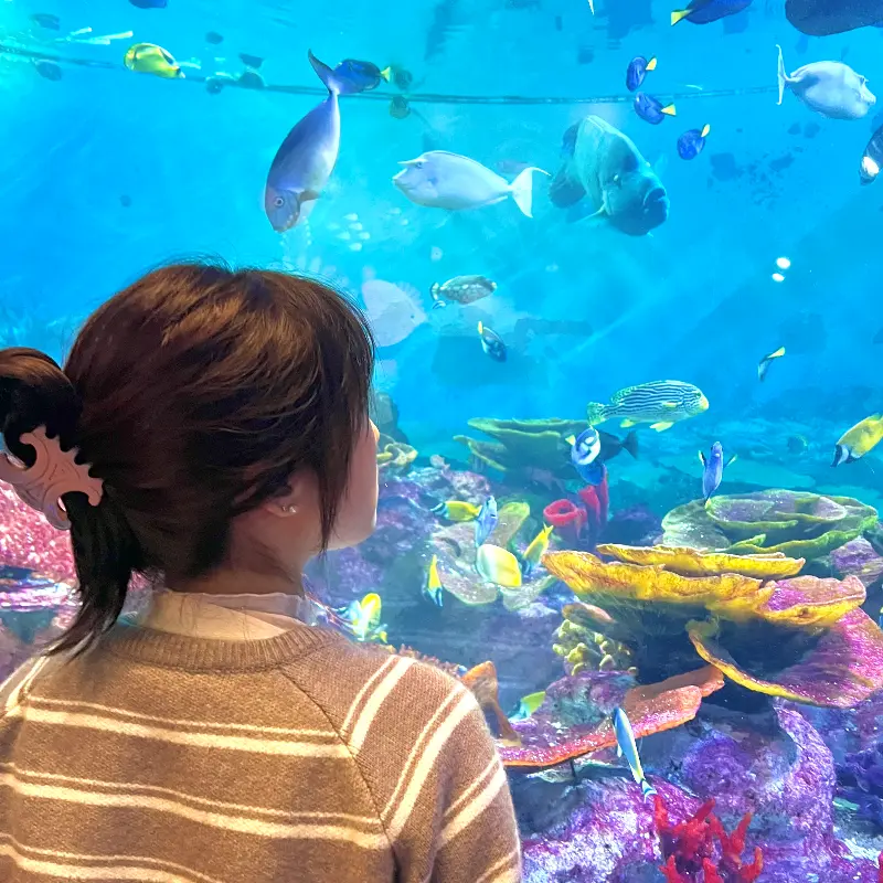 가게 내부 모습