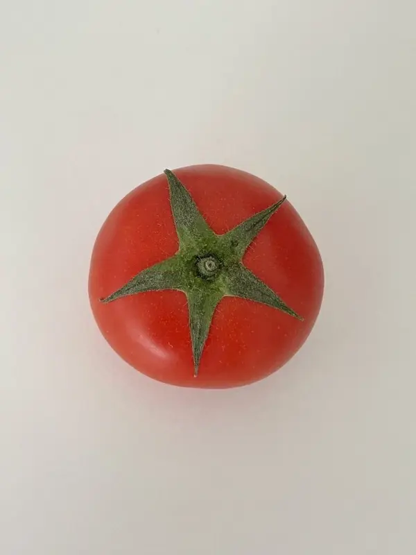 고마루감자탕 메뉴