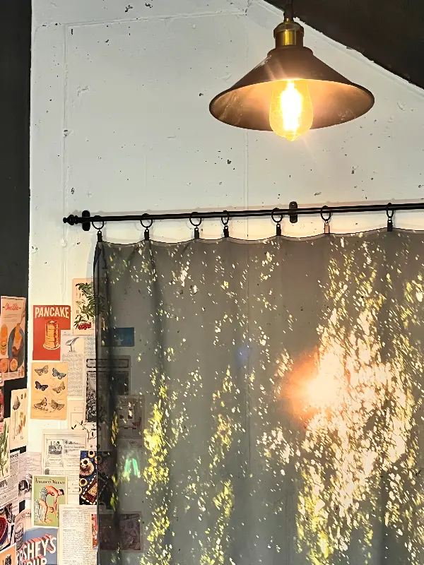 다양한 종류의 케이크