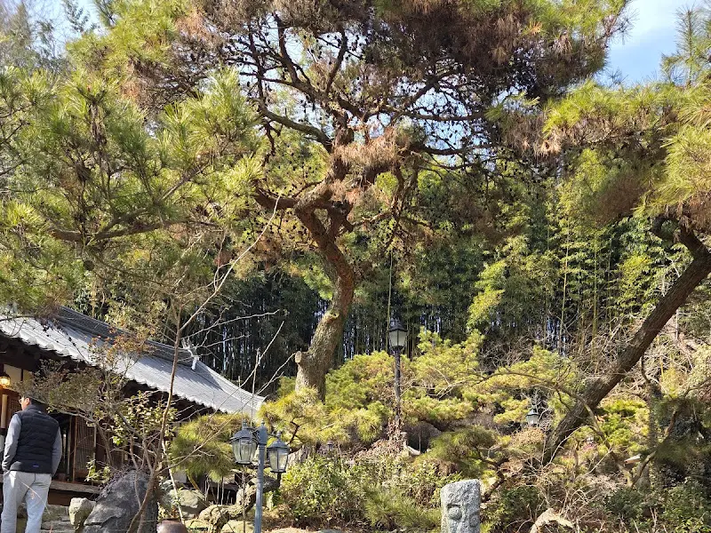 춘운서옥 정원의 푸르른 나무들