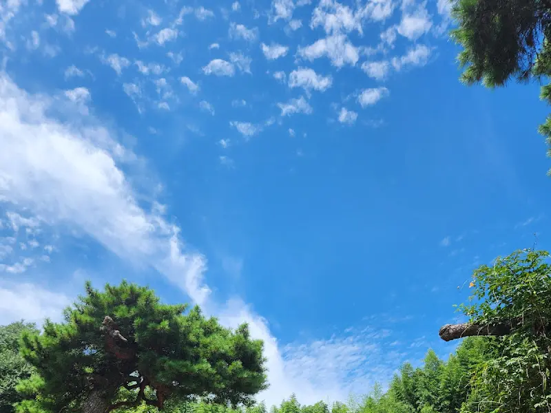 춘운서옥에서 바라본 하늘