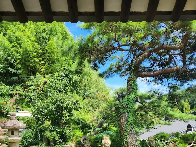 춘운서옥에서 바라본 정원