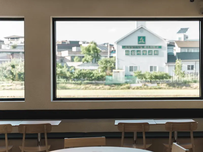 창밖으로 보이는 논 풍경