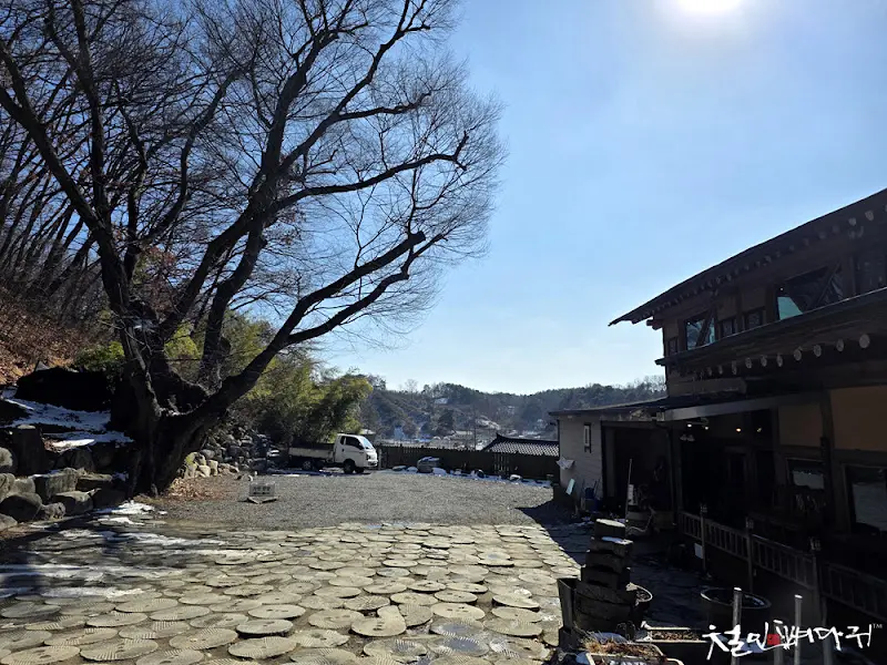 너구리의 피난처 주차장 풍경