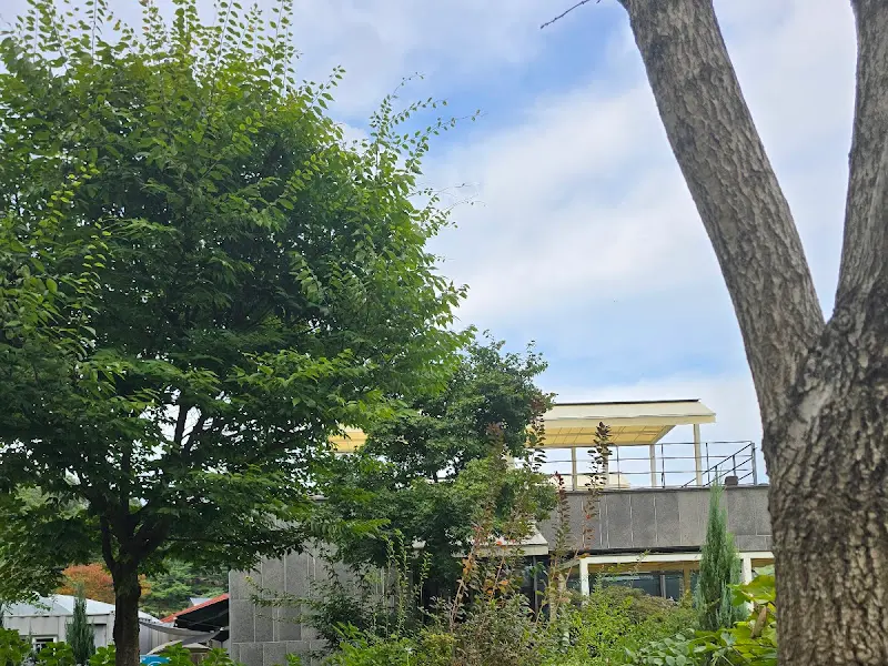 카페 건물과 나무