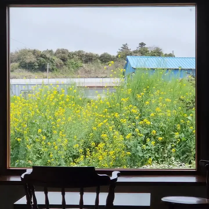 창밖으로 보이는 푸른 밭 풍경