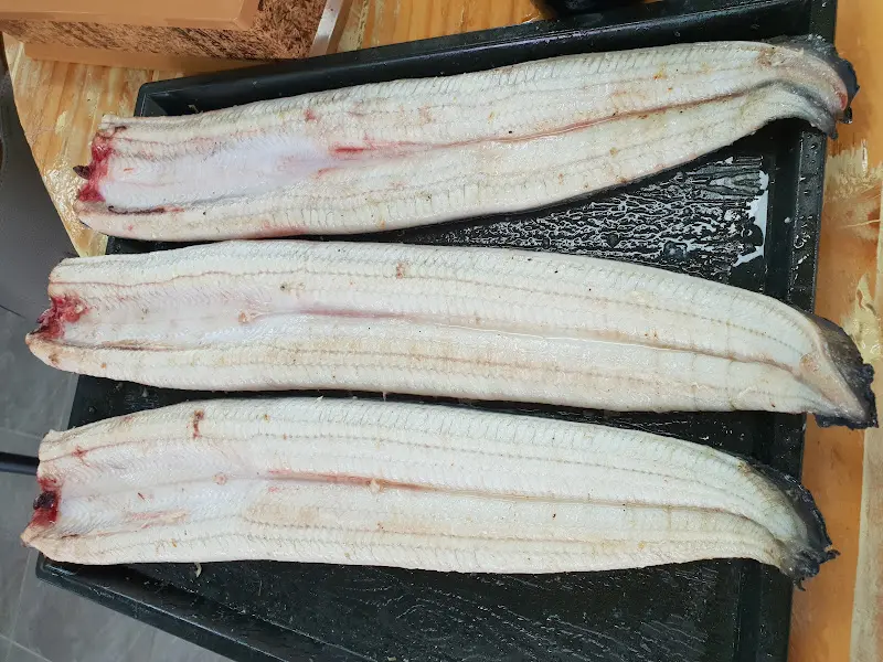 싱싱한 장어의 자태