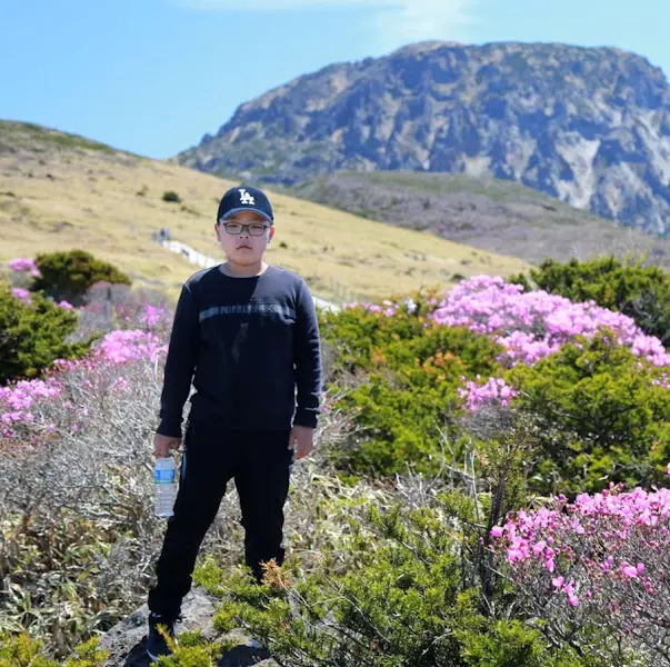 제주도의 아름다운 풍경