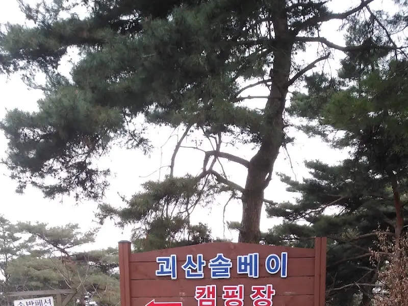 식당 주변의 소나무