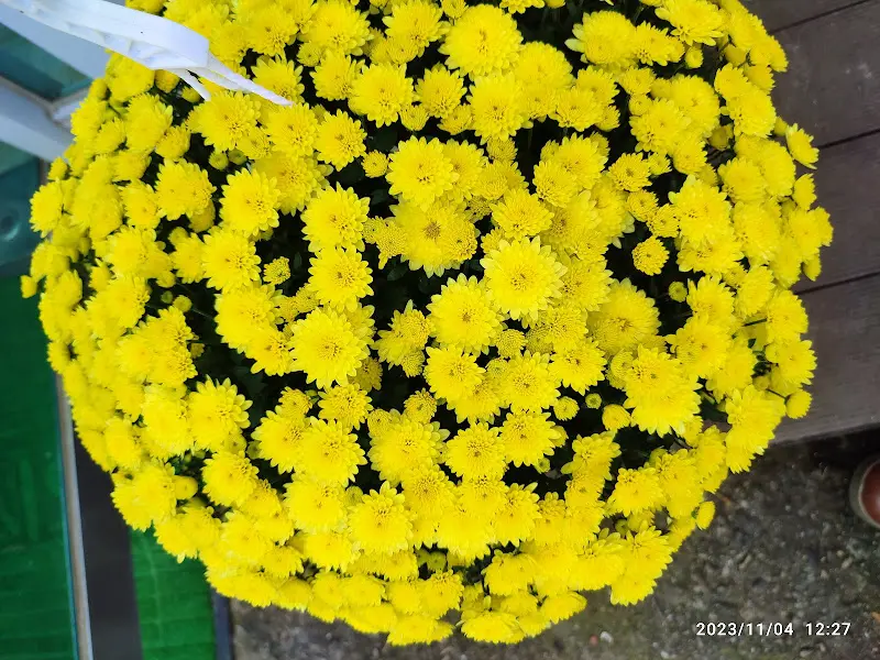 식당 입구에 놓인 꽃