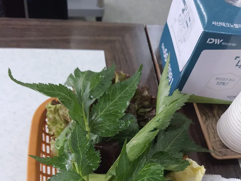 싱싱한 쌈 채소