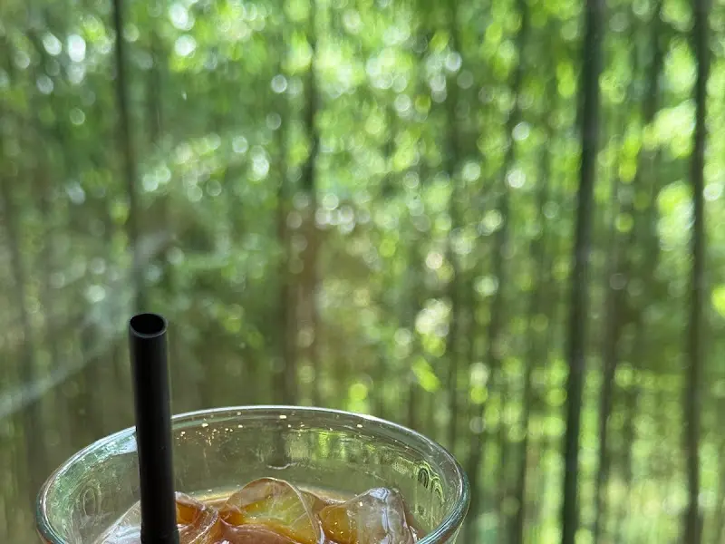 대나무 숲이 보이는 카페 내부