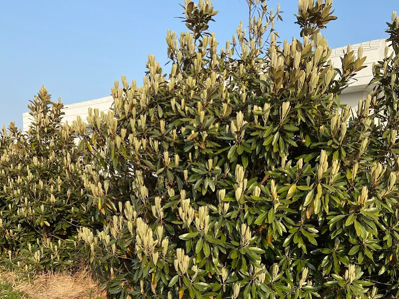 톰톰카레 외부 풍경