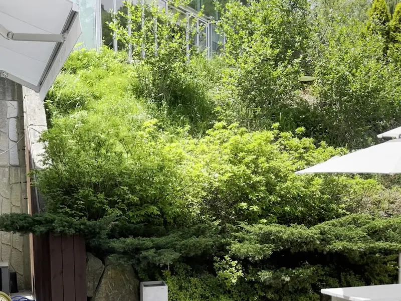 세인즈가든 야외 테라스