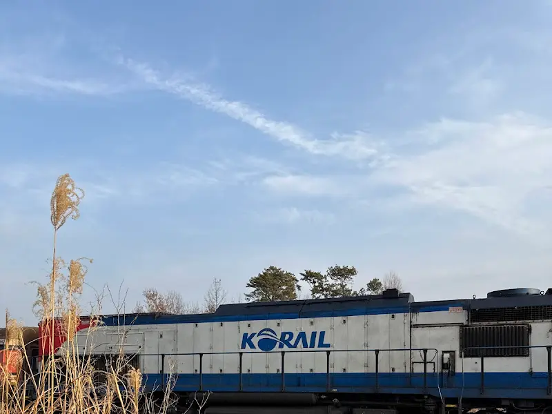 기차가 지나가는 모습