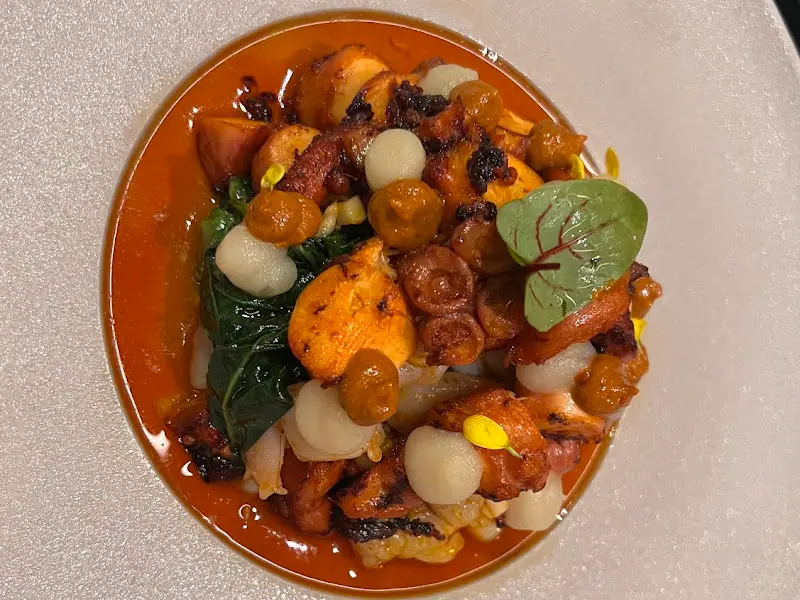 다크앤라이트 뽈뽀